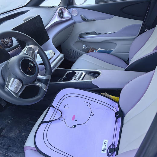 比亚迪 海豚  405km 时尚版【长租-北京】 商品图3