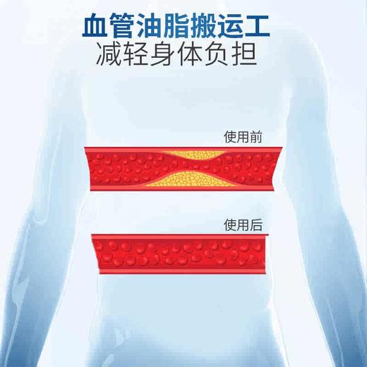 DanVitas丹维斯挪威进口海豹油胶囊成人中老年非深海鱼油官方正品 商品图2