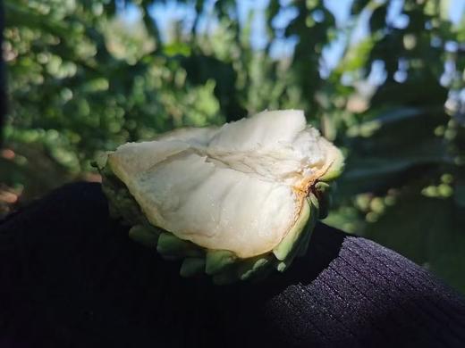 释迦果 商品图3