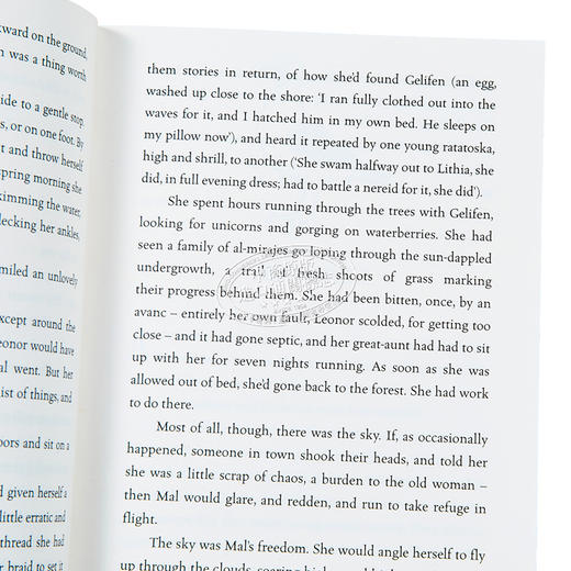 【中商原版】不可思议的生物 Impossible Creatures 英文原版 Katherine Rundell 2023水石年度图书 奇幻小说 冒险 商品图2