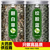 翻白草绞股蓝中药材野生新鲜官方正品旗舰店茶包的功效翻百草苦丁 商品缩略图0