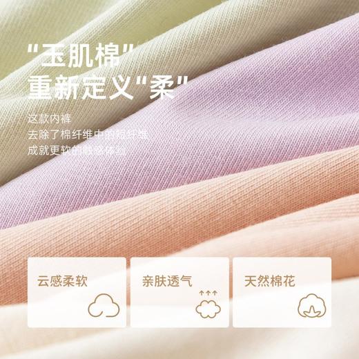 3部顶瓜瓜高腰简约玉肌棉女士内裤 33191-4 商品图4