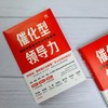 催化型领导力：破解新晋领导者的转型困境 | 从角色转换到领导力突破的全方位成长指南 商品缩略图8