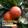 生态血橙（基地直发-顺丰包邮）｜5斤/9斤装，来自四川彭山，生产者：苏永红【合作生产，公平贸易】 商品缩略图3