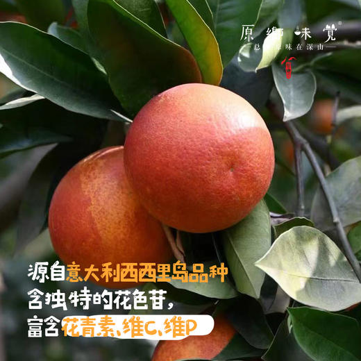 生态血橙（基地直发-顺丰包邮）｜5斤/9斤装，来自四川彭山，生产者：苏永红【合作生产，公平贸易】 商品图3