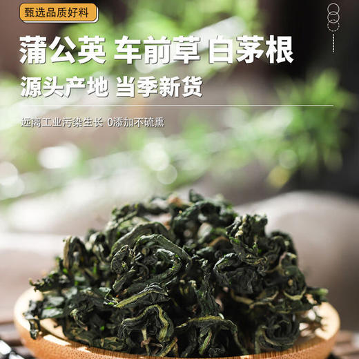 车前草白茅根蒲公英野生干货官方旗舰店中药材正品特级新鲜泡水喝 商品图1