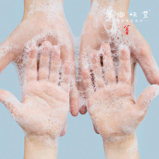 柠檬草洗手液（成都仓库-顺丰快递 ） ｜300ml/瓶，来自广东中山，生产者：旗溪【合作生产，公平贸易】 商品图2