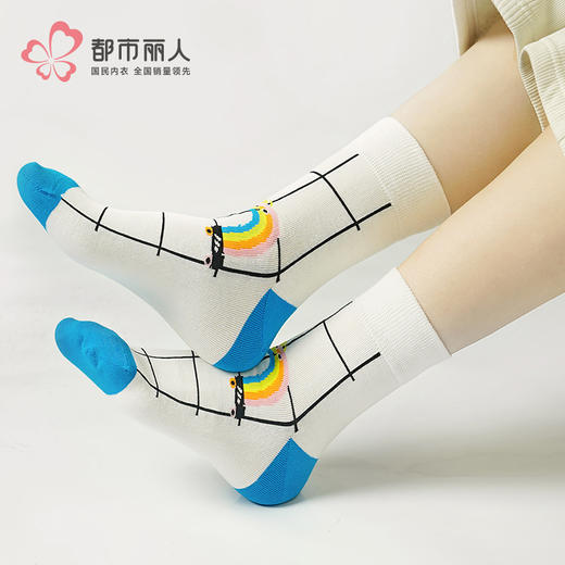 都市丽人中精梳棉时尚潮流常规袜LCHDA4 商品图0
