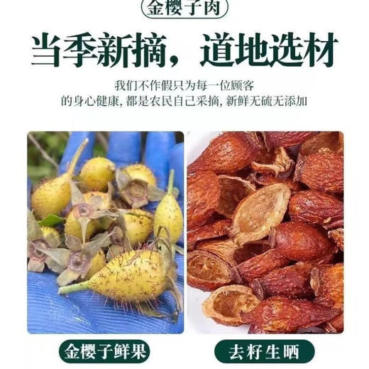金樱子野生新鲜中药材官方旗舰店金英子果泡酒泡水喝的功效与作用 商品图1