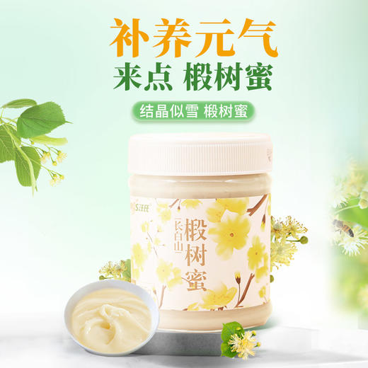 【汪氏】长白山椴树蜜505g 商品图0