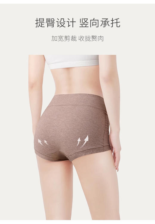 裁缝学苑AS431平角内裤纸样女装大码高腰纯棉抗菌裆四角裤样板 商品图6