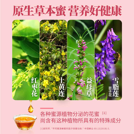 【汪氏】465g枣花蜜 商品图2