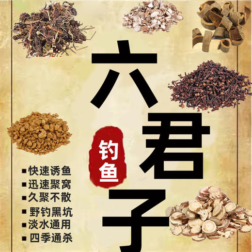 六君子钓鱼中药材泡酒专用阿魏小药甘松香料公丁香肉桂山奈药酒粉 商品图1