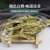绞股蓝车前草野生干货官方旗舰店中药材新鲜和泡水喝的功效与作用 商品缩略图2