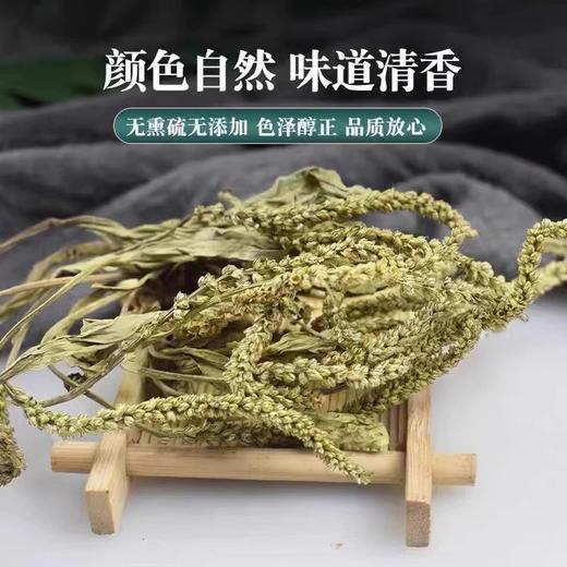 绞股蓝车前草野生干货官方旗舰店中药材新鲜和泡水喝的功效与作用 商品图2