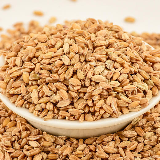 黄芪大枣浮小麦官方旗舰店中药材正品正宗北芪红枣甘草淮止汗茶粉 商品图2