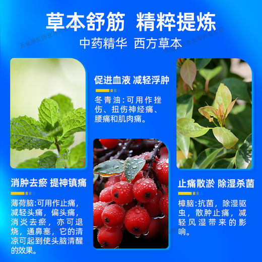 中国香港黄道益活络油原装官方正品跌打损伤舒筋活络止痛消炎50ml 商品图2
