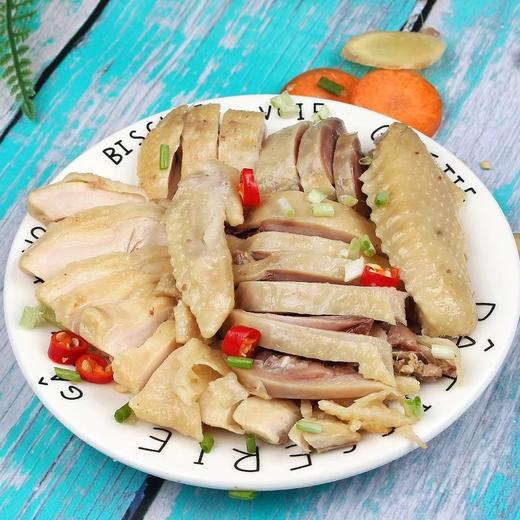 南农 咸草鸡 450g 商品图2