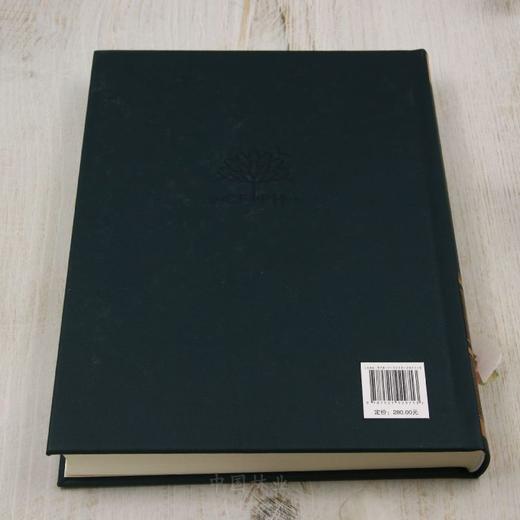 中国林业百科全书：森林工程卷 &2971 商品图2