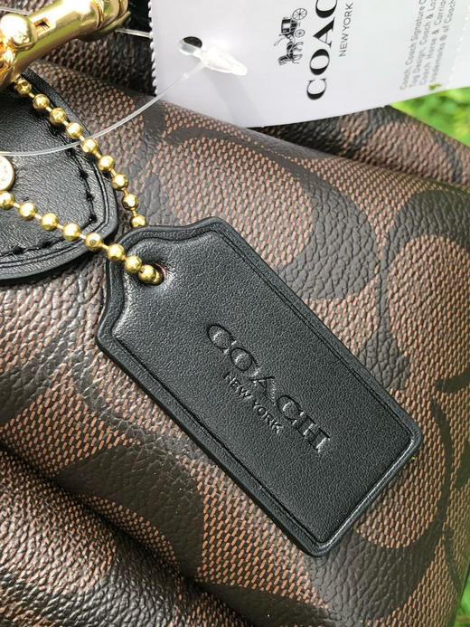 春季特惠💰520 蔻驰Coach 新款PVC小号戴妃包91494 手提单肩斜挎包 商品图5