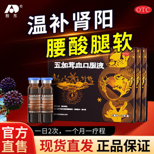 吉林敖东五加茸血口服液补肾强精肾阳虚畏寒腰酸肢冷精冷男士备孕 商品图0