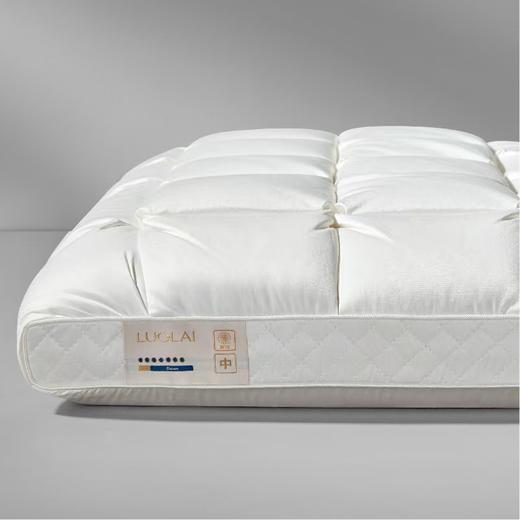 【6F】罗莱 超柔无边鹅绒深睡枕-M 商品图1