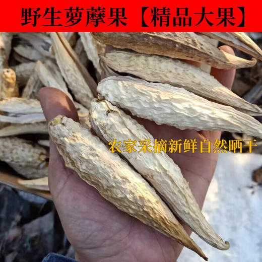 萝藦枸杞果中药材正品子天浆壳新鲜茶泡水老瓜瓢奶瓜瓜罗摩地梢瓜 商品图1