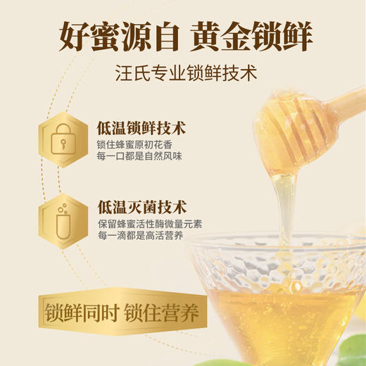【汪氏】土黄连蜂蜜465g 商品图3