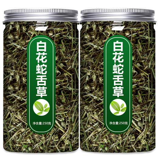 白花蛇舌草中药材新鲜草药野生百花茶的功效与作用铁树叶和半枝莲 商品图4
