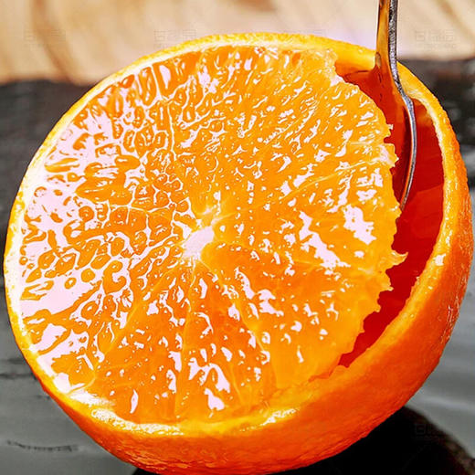 金“蛇”衔财【XMGGSGK2.0】 商品图5