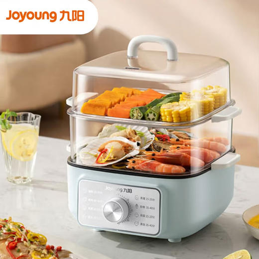 九阳Joyoung 电蒸锅 家用多功能 ZD20-GE620 商品图0