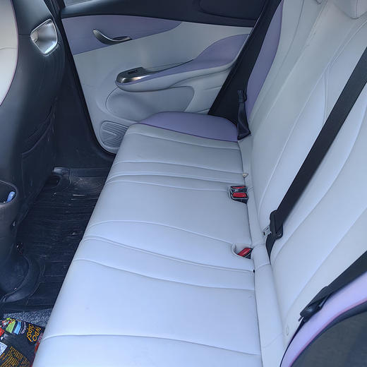 比亚迪 海豚  405km 时尚版【长租-北京】 商品图5