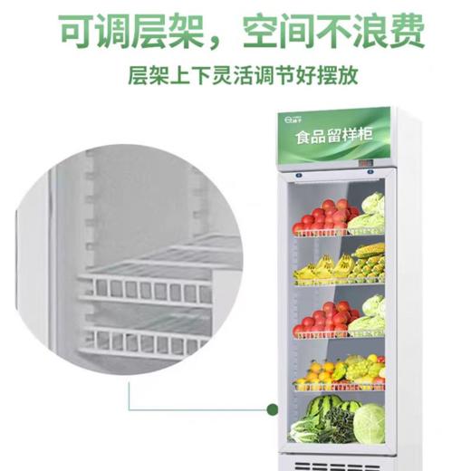 【JL】国产食品留样柜一台 110W 110L 52*52*120CM 商品图2