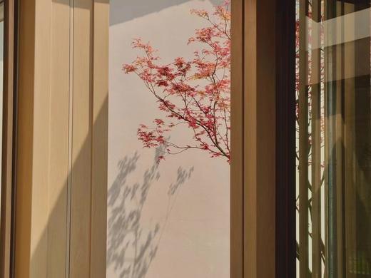 【限时特惠·4折享】¥799住大邑木莲庄酒店，湖畔日式豪华私汤房+早餐+私汤泳池+儿童乐园…大邑351号酒店mlz 商品图1