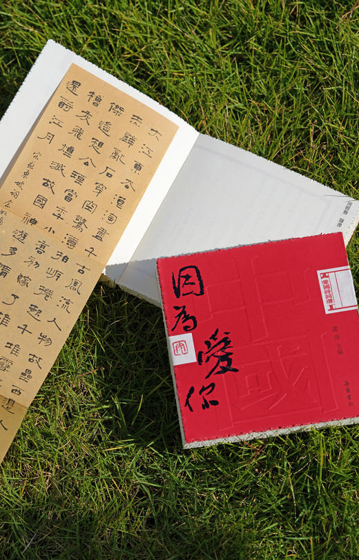 因为爱你 商品图3