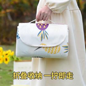 【出游常备❗️一提就走的野餐垫】防水防潮，沙滩草地都能用！户外折叠收纳便携加厚ins风郊游露营防潮垫