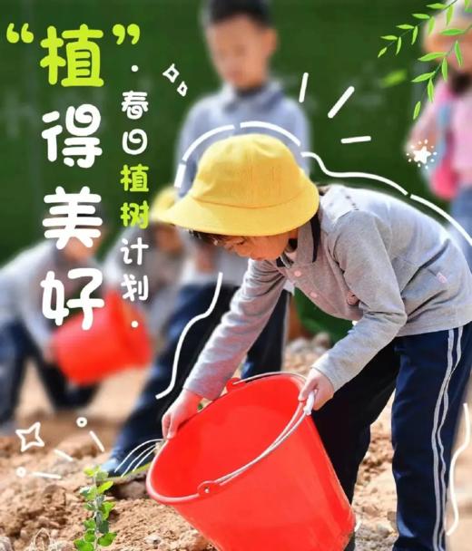 【房山区植树】少年“播种绿色，收获未来”——可积累3小时公益时长 商品图4