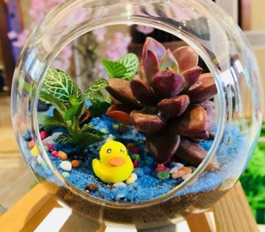 【房山区植树】少年“播种绿色，收获未来”——可积累3小时公益时长 商品图3