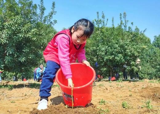 【朝阳区植树】我为地球充植 ，拥抱春天，种下希望——共植一棵樱桃树，土壤实验，摔泥巴比赛、泥巴锡纸烤鸡蛋、制作地球种子 商品图2
