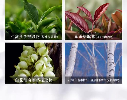 【航免仓】DECORTE黛珂AQ洁面200ml 商品图2