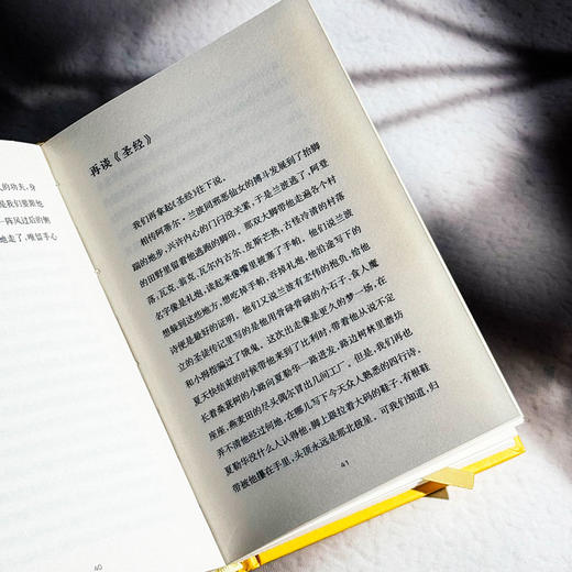 兰波这小子 传记式虚构系列 皮埃尔·米雄 六点图书 商品图12