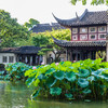 禅园留梦·苏州留园+西园寺讲解半日游·12人小团【大咖说®】 商品缩略图3