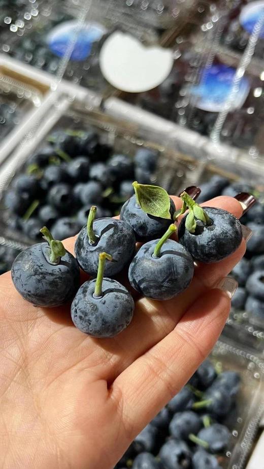 【分仓直发包邮】云南爱莓庄蓝莓125g*2盒（果径15mm+） 商品图2