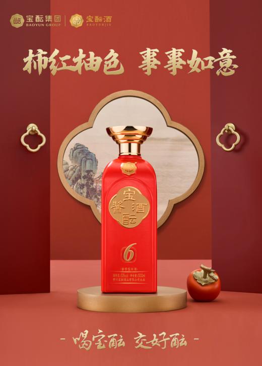 【底价秒杀】宝酝中国红酱酒·6 53%vol 500ml
*6瓶 商品图3