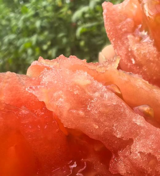 连湖农场精选 | 4斤装连湖西红柿 新鲜正宗 商品图2