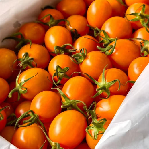 香芒皇后番茄 商品图5
