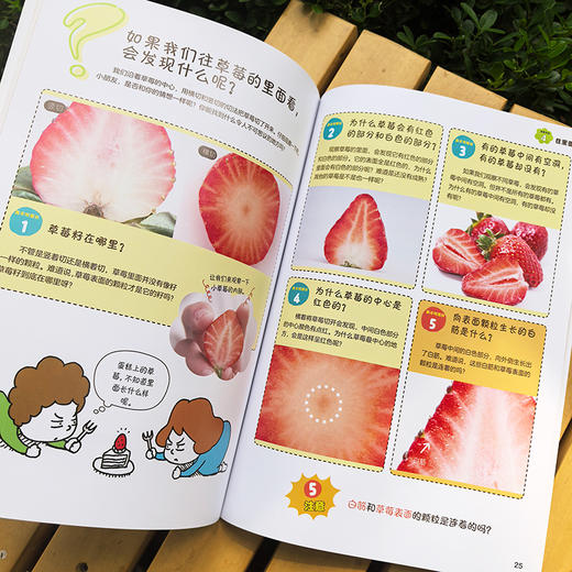 《这是理所当然的吗？不一定吧》全3册 6-12岁  6个主题 5个漫画人物，共同对问题进行探讨 商品图6