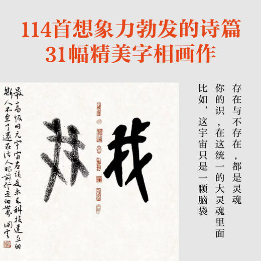 我知道灵魂的来去：“诗歌独行者”梅国云倾献洞察当代人内心世界之力作 商品图2
