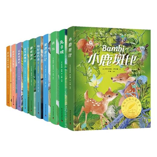 国际大奖经典名著系列10册 商品图0