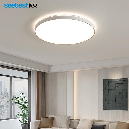 秋霜系列-客卧灯(秋霜大圆停产） 商品图1